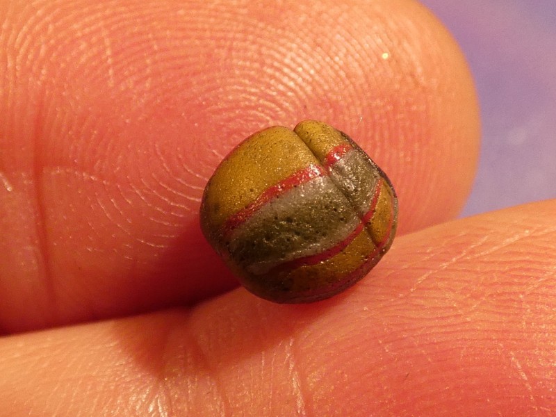 ANCIENT SOUTH EAST ASIAN PYU BANDED GLASS HEIRLOOM BEAD BEAD 77-7.8 mm WORN