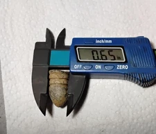 .67 Civil War Confederate Minie ball similar to "Arkansas Hog" rough casting