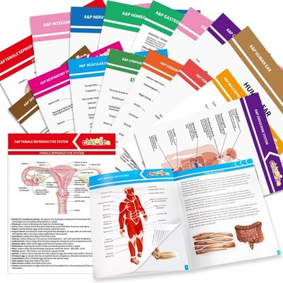 16 Pack Anatomy & Physiology Study Guides Set Human Body Systems Anatomy Stud...