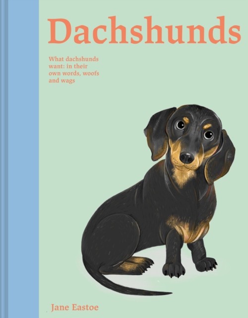 Dachshunds by Jane Eastoe (Hardback Book)