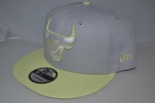 AUTHENTIC NEW ERA CHICAGO BULLS 2T COLOR SNAPBACK GREY BRAND NEW CAP NBA HAT