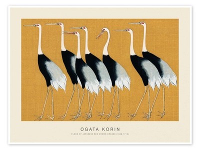 Poster Flock of Japanese Red Crown Cranes - Ogata Korin