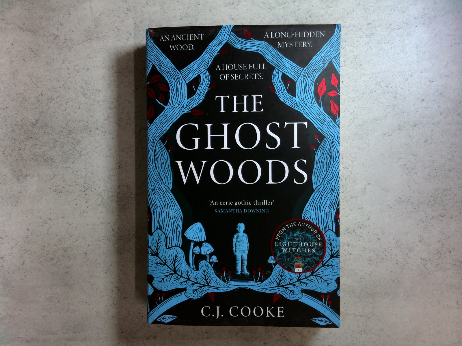 The Ghost Woods by C.J. Cooke (2023) Paperback