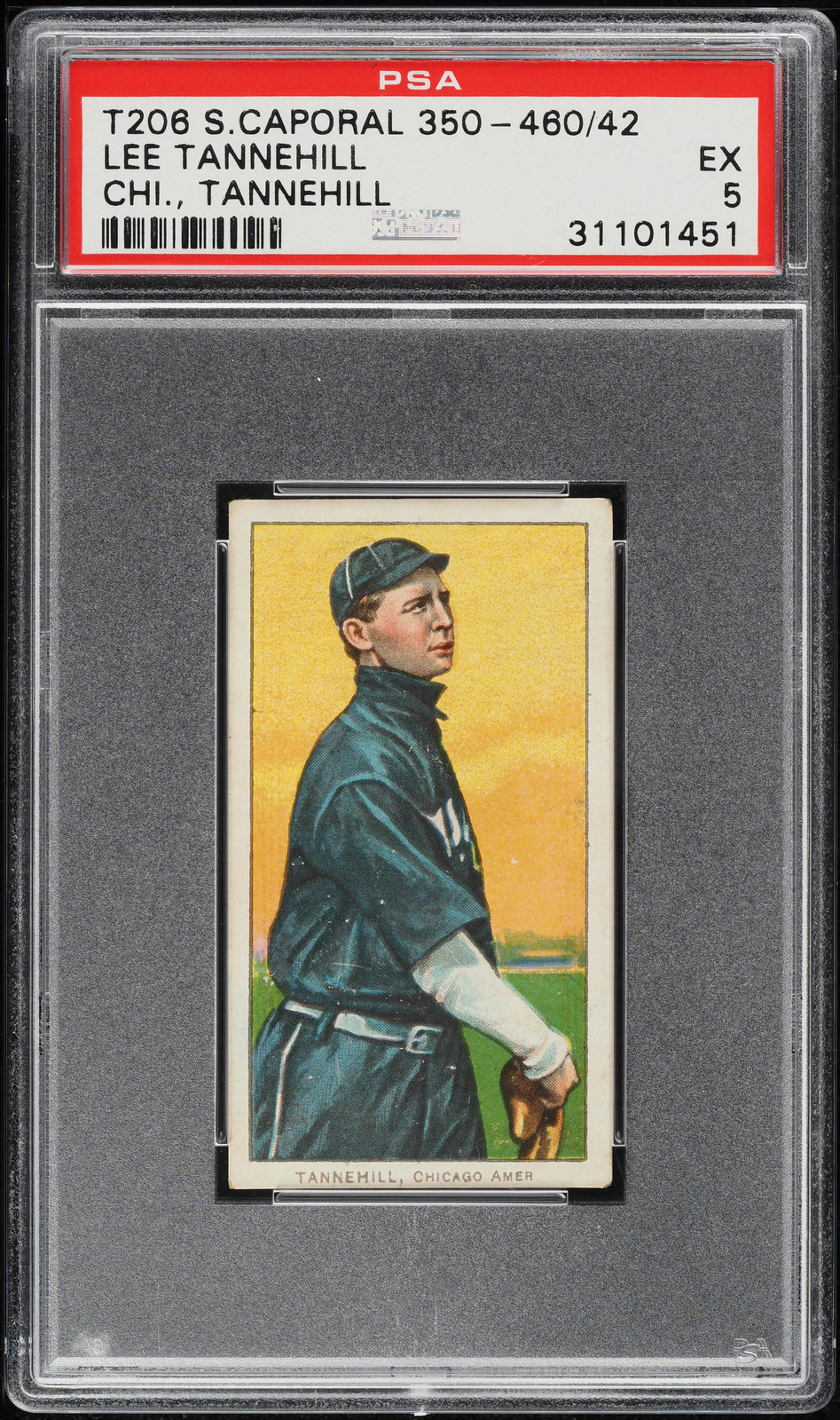 1909-11 T206 Lee Tannehill CHICAGO TANNEHILL, SWEET CAPORAL 350-460/42 PSA 5 EX