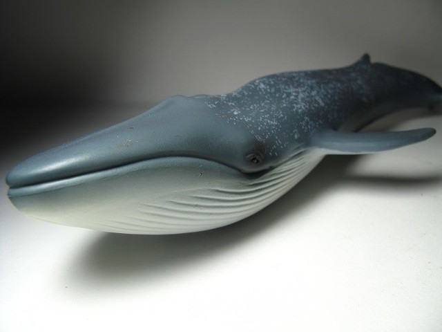 blue whale figure