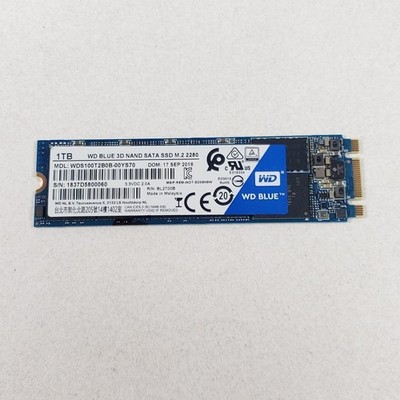 Western Digital WD Blue 3D NAND SATA 1TB SSD M.2 2280 WDS100TB0B