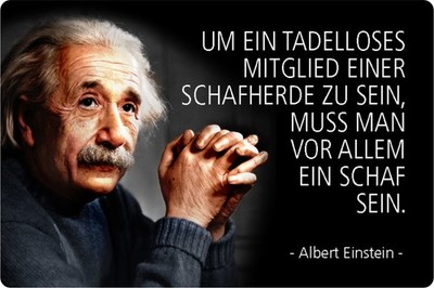 Schild Spruch ''Mitglied Schafherde, Schaf sein'' Einstein 20 x 30 cm Blechschild