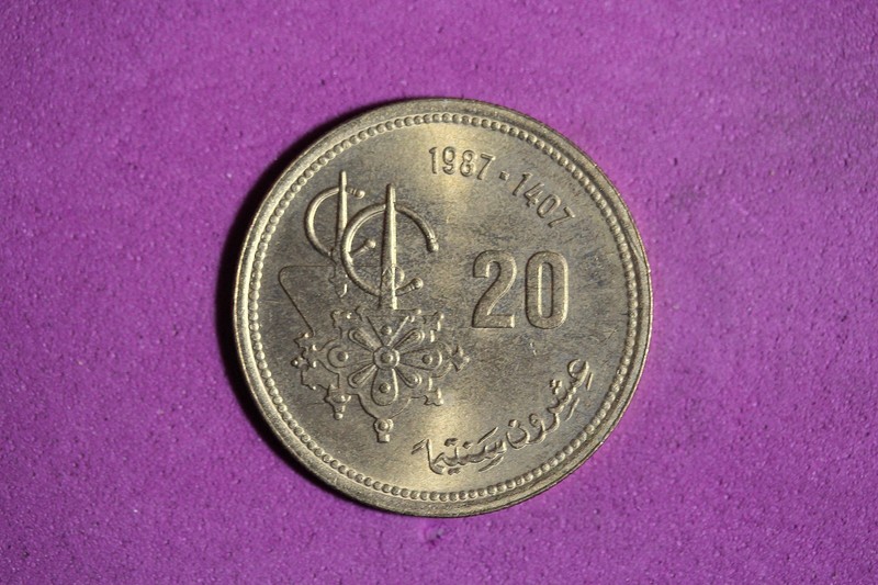 1407 (1987) Morocco FAO 20 Santimat Aluminum Bronze Coin #M23220