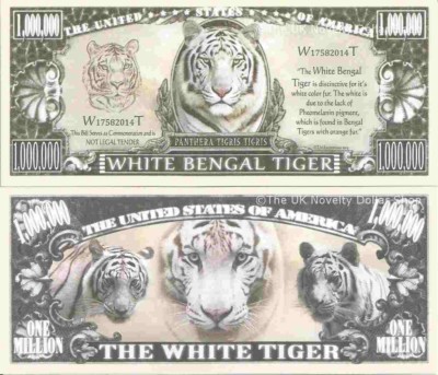 Weißer bengalischer Tiger Panthera Tigris Tigris Millionen Dollar Scheine x 2 Raubkatzen