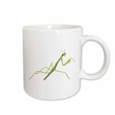 3dRose Painting of a green praying mantis Mug
