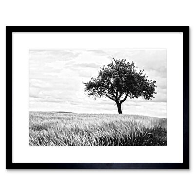 Einsamer Baum Weizenfeld schwarz weiß gerahmter Wandkunstdruck 12 x 16 Zoll