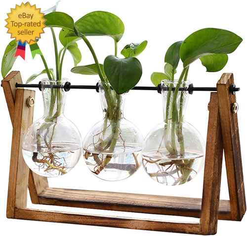Plant Terrarium with Wooden Stand, Air Planter Bulb Glass Vase Metal Swivel Hold