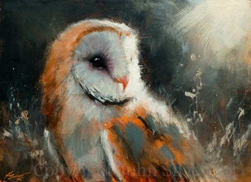 BARN OWL BIRD FINE ART PORTRAIT ORIGINAL PAINTING 12 x 9 inches by JOHN SILVER