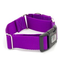 1.5 Inch Width Martingale with Buckle Dog Collar 1.5" Width Training Collars