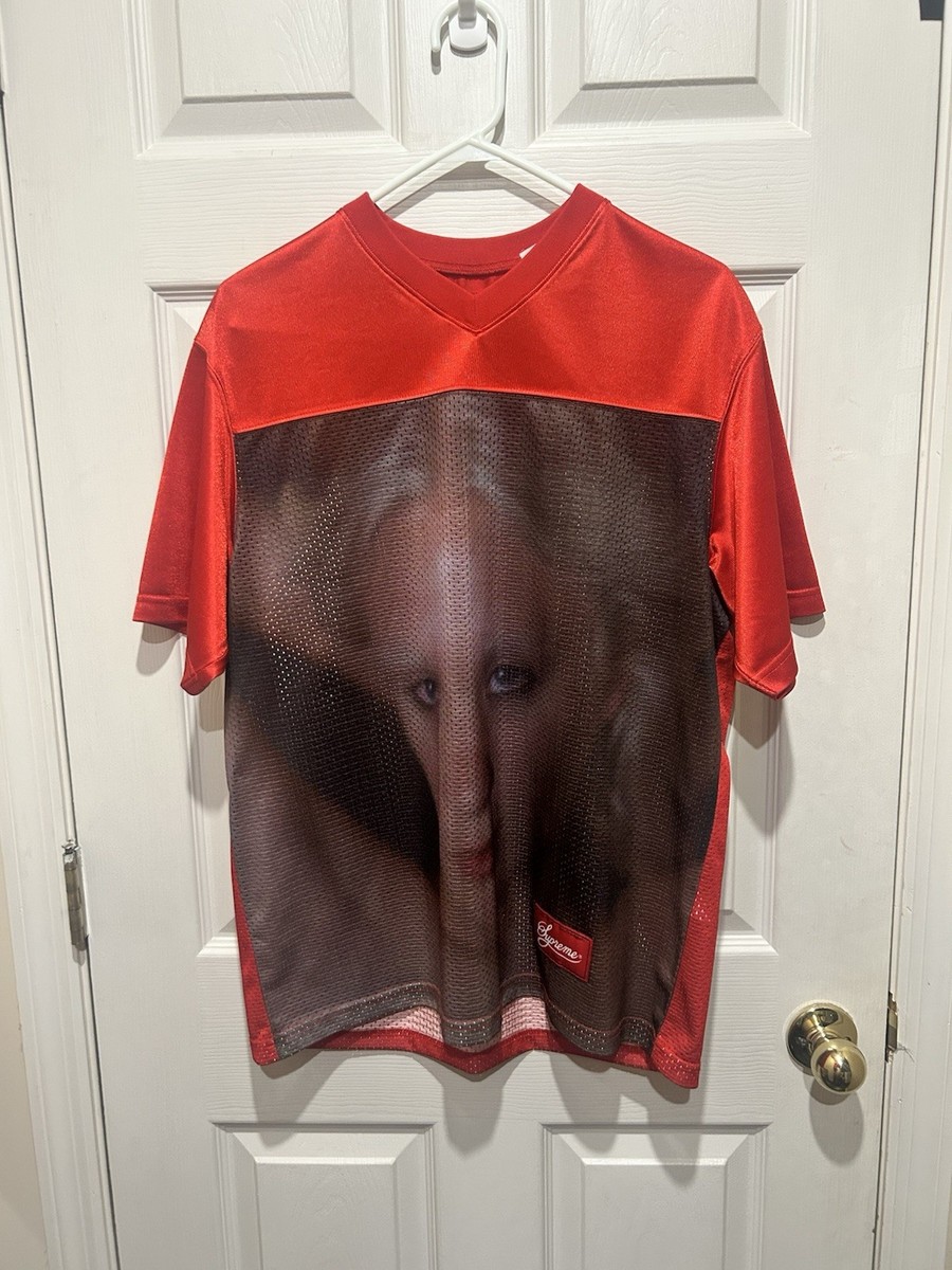 Supreme シュプリーム Gummo メッシュ　シャツ M シルバー Supreme Gummo Red Mesh Jersey Graphic Print V-Neck T-Shirt Men's