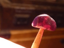 ANCIENT PYU WINE COLORED ARCHAIC SHAPED GARNET BEAD 9.2-6.2-5.5 MM LUSTREOUS