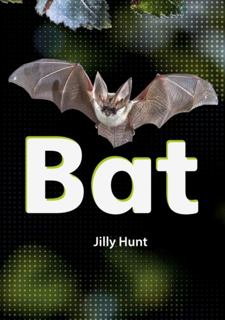 Bat (Set 02) by Jilly Hunt (Paperback Book)
