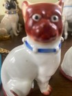 vintage pug dog with blue collar. Probably from Germany — photo 1