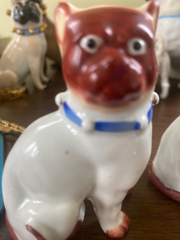 vintage pug dog with blue collar. Probably from Germany