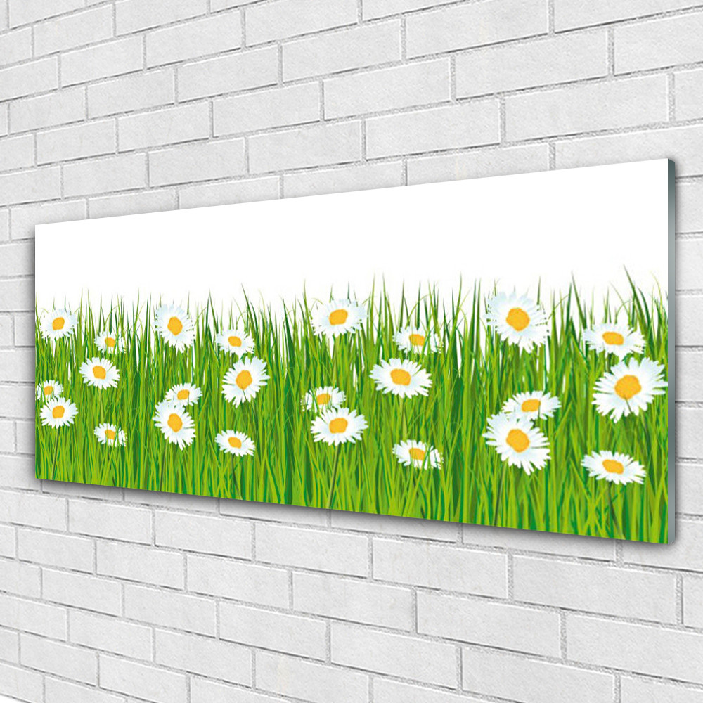 Tableau en verre acrylique 125x50 cm Nature Herbe Marguerite pour decoration murale