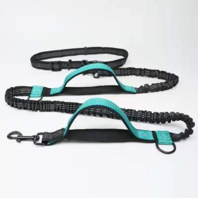 Ceinture Laisse extensible Mains Libres pour Courir avec 1 Chien Réfléchissant - Photo 1/3