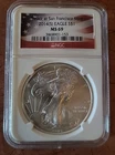 2014-S  SILVER EAGLE $1 NGC MS-69 FLAG LABEL EDITION!!!