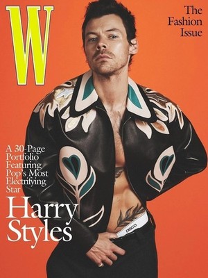 Harry Styles W Magazine The Fashion Issue Pop Star Editorial Portrait