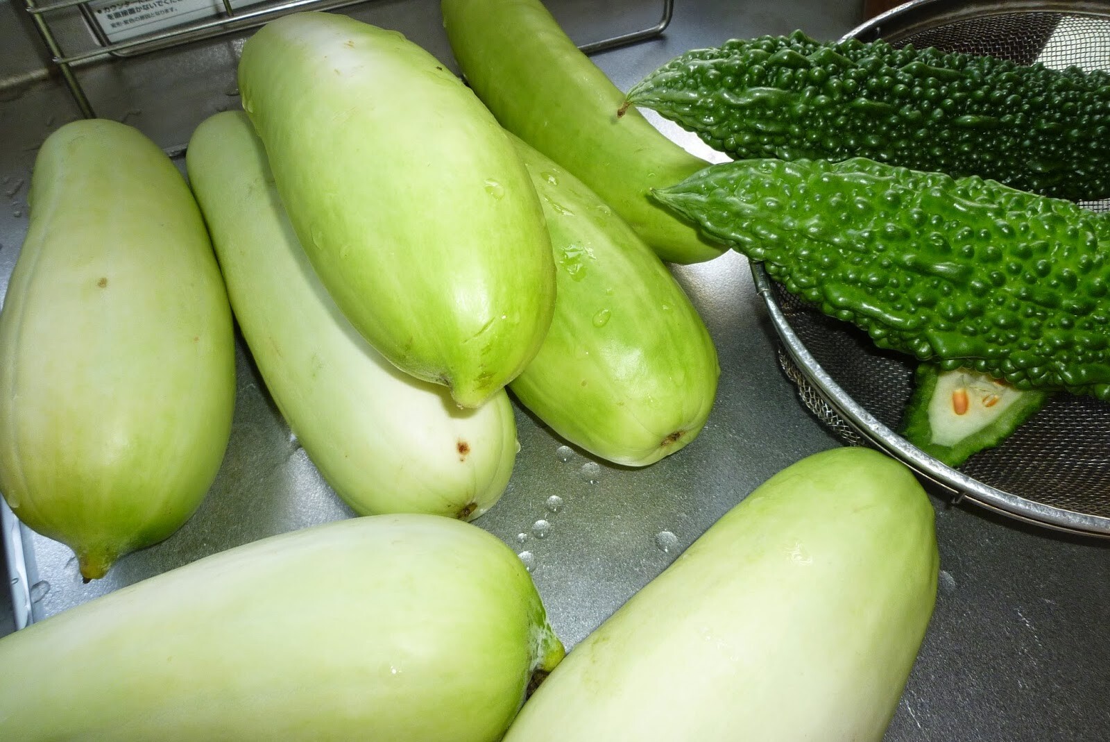 Japanische Melone Kedai Shirouri zum Einlegen 5+ Samen - Seeds Cm 033