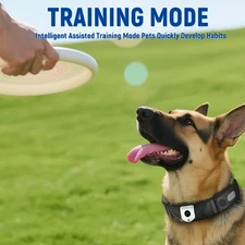 Smart Pet Collar Wireless Dog Fence With 2K Camera Voice Training Dog Collar