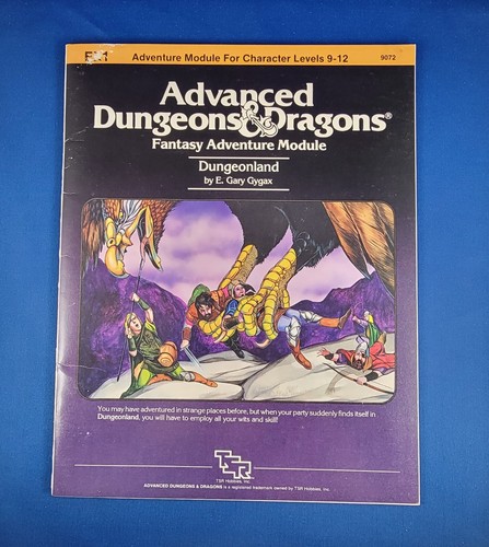 Jeu De Rôle : Introduction To Advanced Dungeons And Dragons (TSR, Occasion)