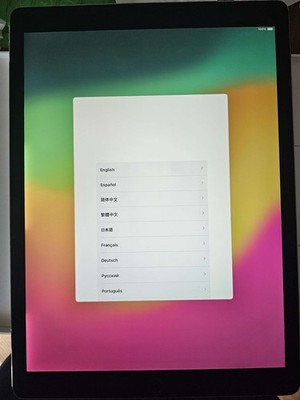 Apple iPad Pro 12.9'' Wi-Fi Tablet 256GB Gray with Apple Pencil - Used