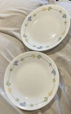 Corelle 6-3/4 " Bread & Butter Dessert Plates Daisies & Leaves 2-pcs *EX++
