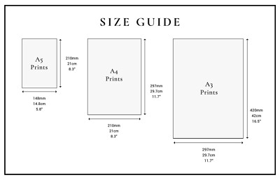 YRTWR I WBRRB Pedro Pascal Poster Mural Pour Chambre à