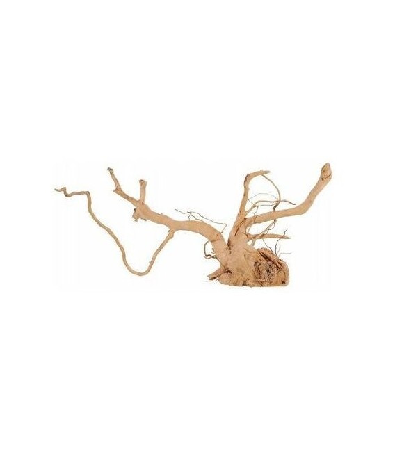 Zolux Legno Radice spellata red wood da 60cm e oltre.