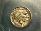 1938  D/S  Buffalo Nickel  Item # 7829