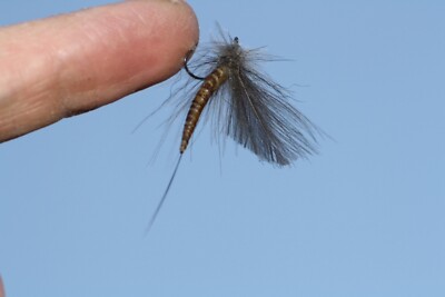 Maifliege AIRBODY für Fliegenrute Fliegenrolle. Sage  Hardy Loop Orvis.