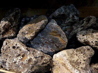 DUNKLES GALAPAGOS LAVAGESTEIN Ohko Scaping Stone Aquarium TROPISCHE FISCHE GARNELENBECKEN