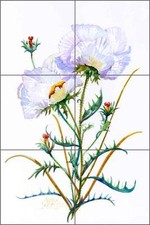 Ceramic Tile Mural Backsplash Libby Poppy Flowers Floral Art SLA048