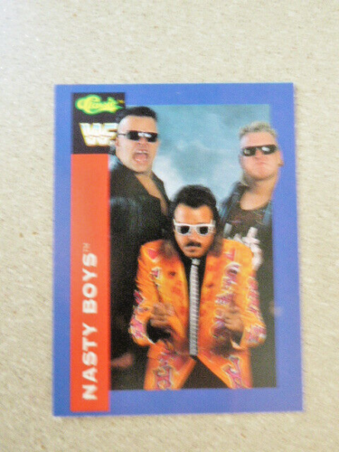 TITANSPORTS CARD BLUE BORDER #57 CLASIC WWF THE NASTY BOYS 1991 NEAR MINT - Picture 1 of 2