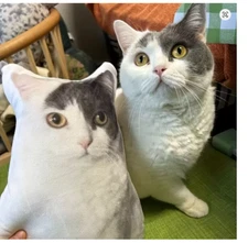 Personalized Pet Photo Plush Pillow – Dog Cat Cushion, Gift for Pet Lovers