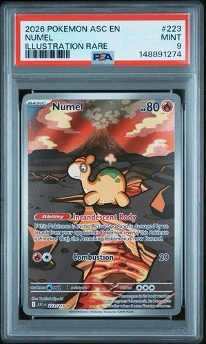 2026 Pokemon Ascended Heroes Numel 223/217 Illustration Rare PSA 9