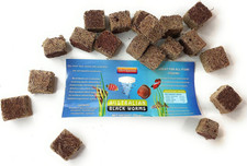 Australian Freeze Dried Black Worm Cubes Bio Pigment Color Enhancing 100grams