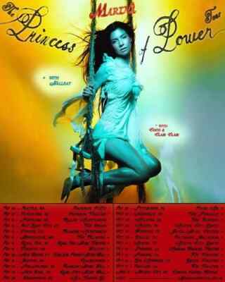 MARINA and PLUS1 The MARINA Fund Tour 2025 Poster - Wall Decor, Unframe