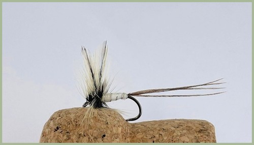 18 Mayflies - BARBLESSS Green Drake, Grey Drake & Spent Mayfly Size 10 - Picture 4 of 4