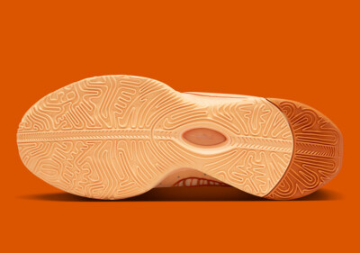 Nike LeBron James XXI 21 Melo Melo Dragon Pearl Melon Tint FV2345