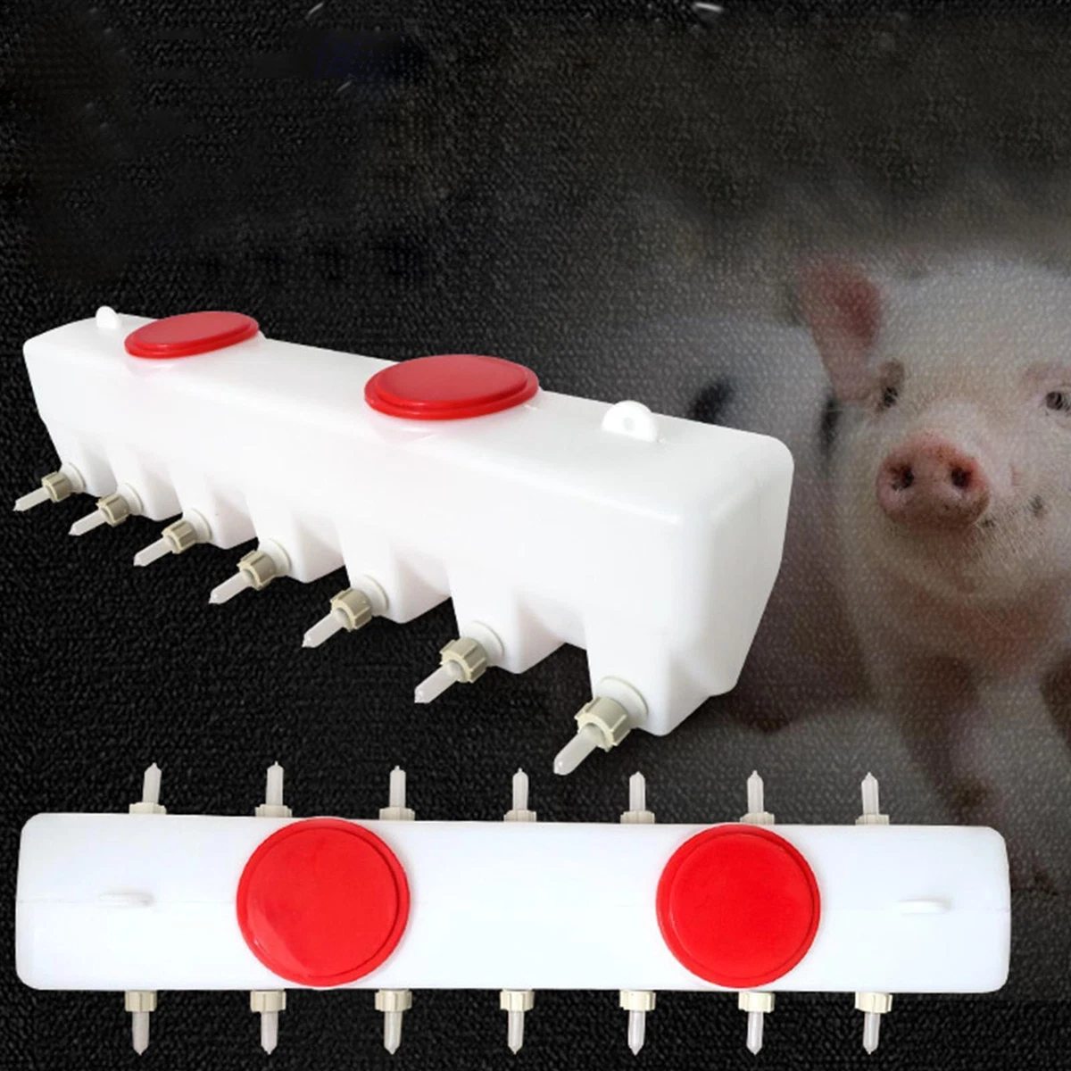 Puppy feeding cheap station