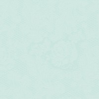 Servietten Lace Embossed Menthe 33 X 33 Cm Ppd 1331600