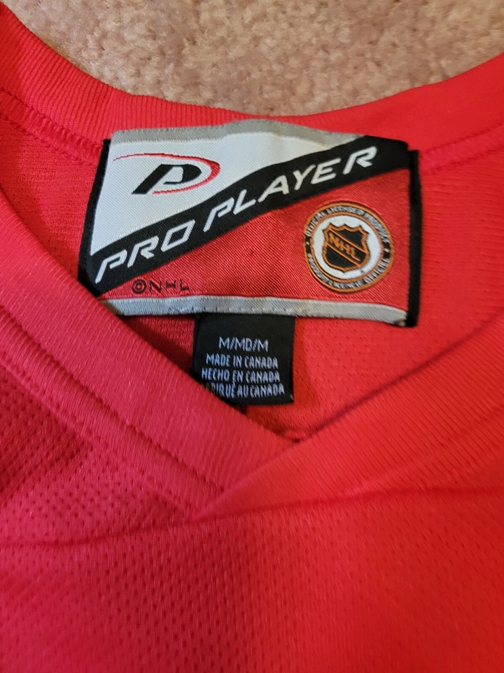 NHL Pro Player Buffalo Sabres Goathead Center Ice Practice Hockey Jersey, Size M - Image 2 of 3