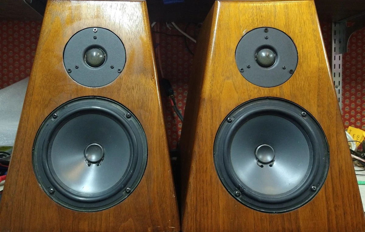 Vintage hotsell fried speakers