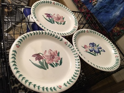 3 Tabletops Unlimited Botanical Gardens Dinner Plates 10 1/2''